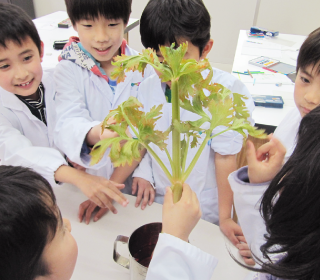 小学生の理科実験教室 キッズラボ