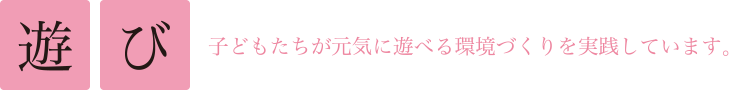 子どもたちが元気に遊べる環境づくりを実践しています。