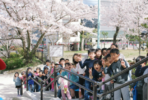 お花見