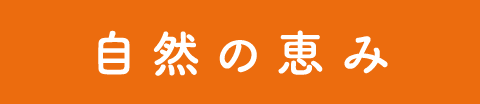 自然の恵み