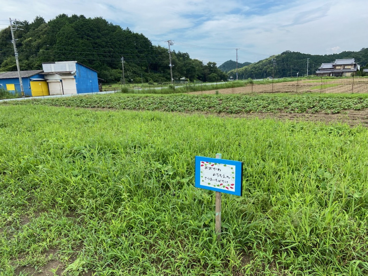 7月21日　安濃の里山の畑の草抜きへ…