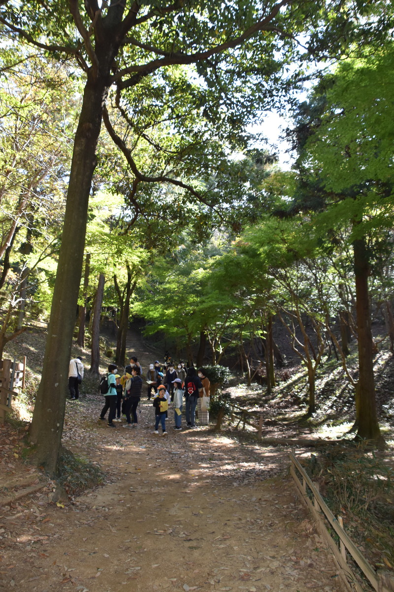 11月７日　年長児ふれあい園外　保護者の皆様からのおたより　追加分あり！