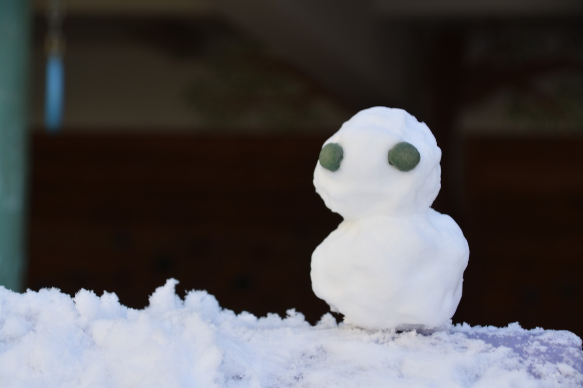 １月26日　雪遊び