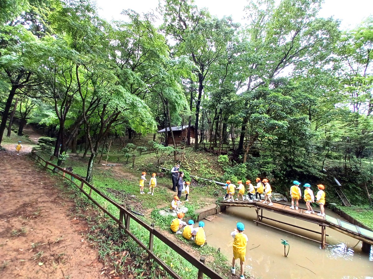 5月７日　年長さん　安濃の里山かぜのもりOZへ　いばらの葉採集！