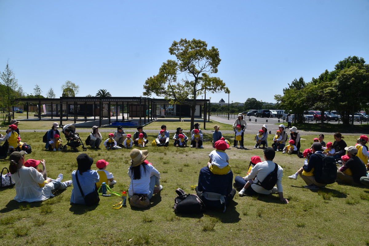 5月13日　ふれあい園外保育　年中児保護者様からのおたより紹介