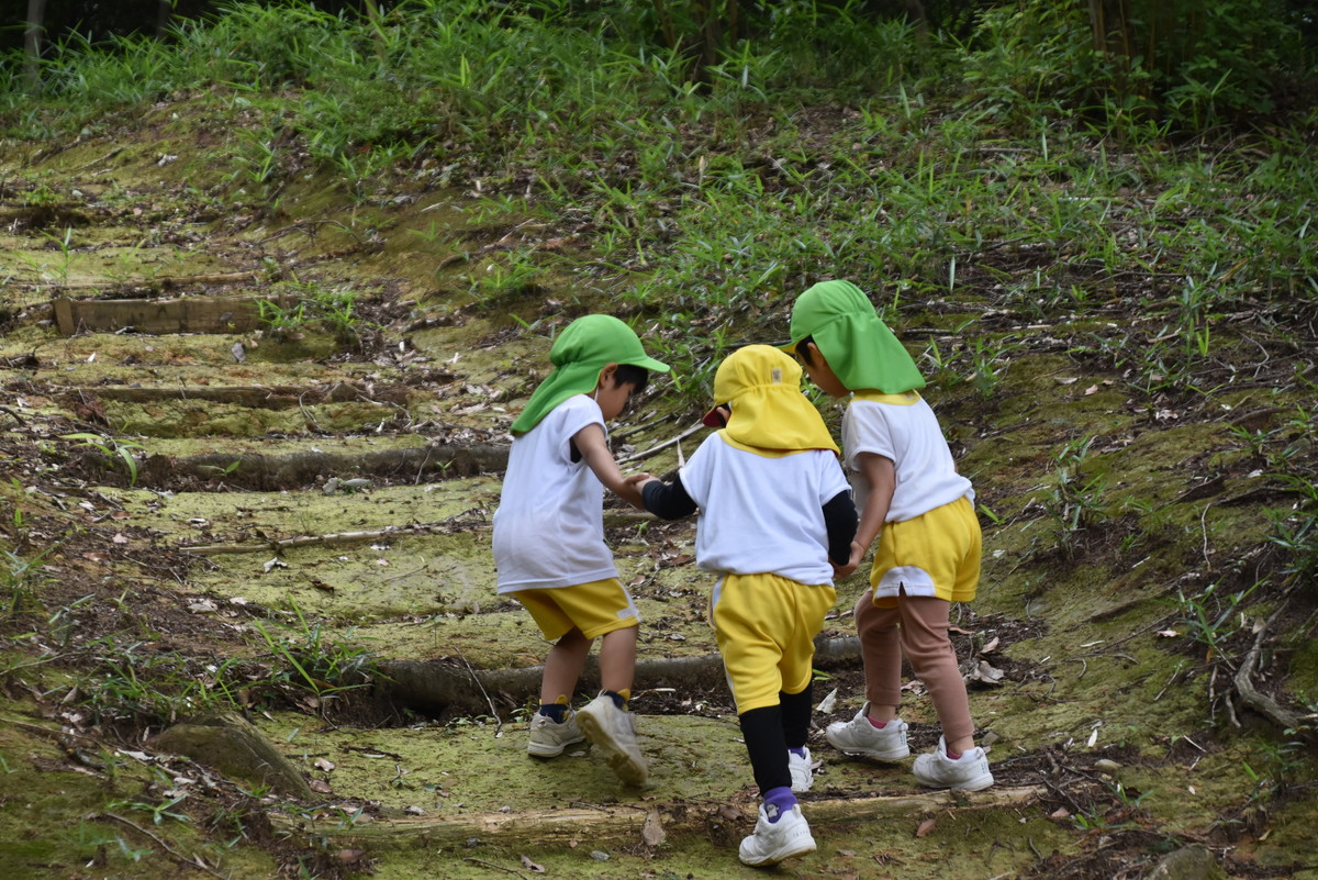 ６月１２日　安濃の里山　かぜのもりOZへ　～年中児・年少児・幼児舎～