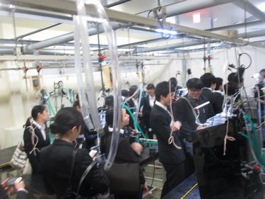 三重の水産試験所を見学！